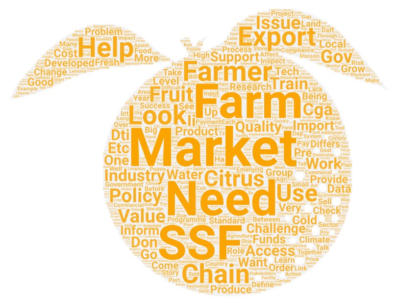 Orange-shaped word cloud with terms such as market, farm, need, SSF, help, export, issue, chain
