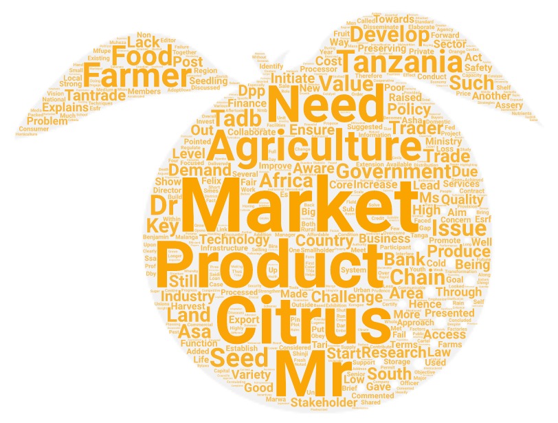 Orange-shaped word cloud with terms such as market, produce, citrus, Mr, need, agriculture, food, farmer, develop, Tanzania
