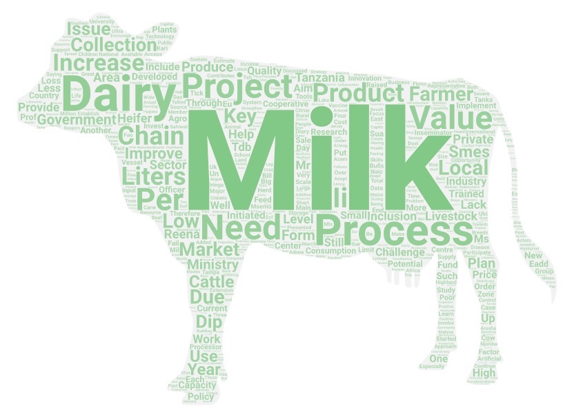 Cow-shaped word cloud with terms such as milk, dairy, project, process, value