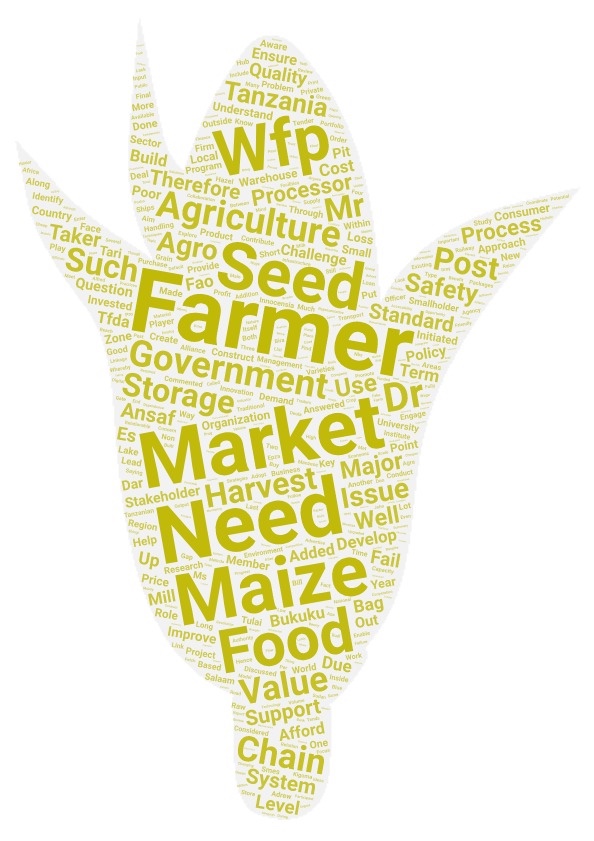 Corn-shaped word cloud with terms such as farm, Wfp, seed, agriculture, government, storage