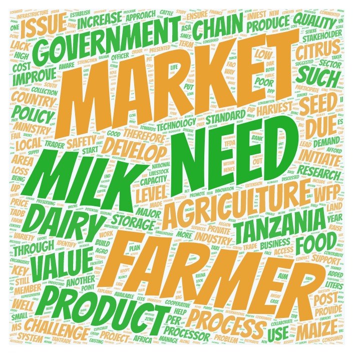 Square-shaped word cloud with terms such as market, milk, dairy, value, need, food, product, Tanzania, government, develop, issue