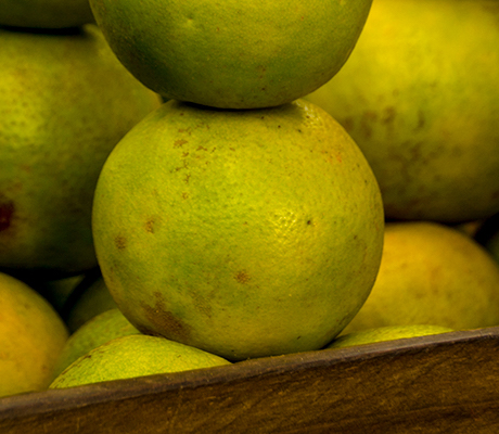 "image showing limes in piles"